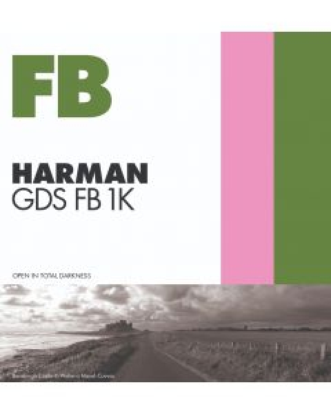 GALERIE Digital Silver FB ( GDS FB 1K ) ( Glanz ) in 127cm x 30m